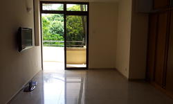 The Balmoral (D10), Condominium #155475852